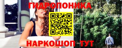 гидра Рыбинск