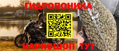 гидра Рыбинск