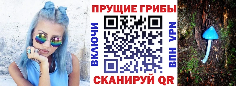 Псилоцибиновые грибы Psilocybine cubensis  купить   маркетплейс как зайти  Балашов 