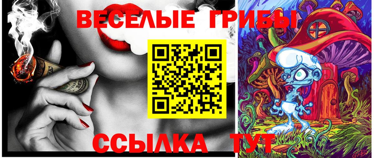 Псилоцибиновые грибы прущие грибы Балашов